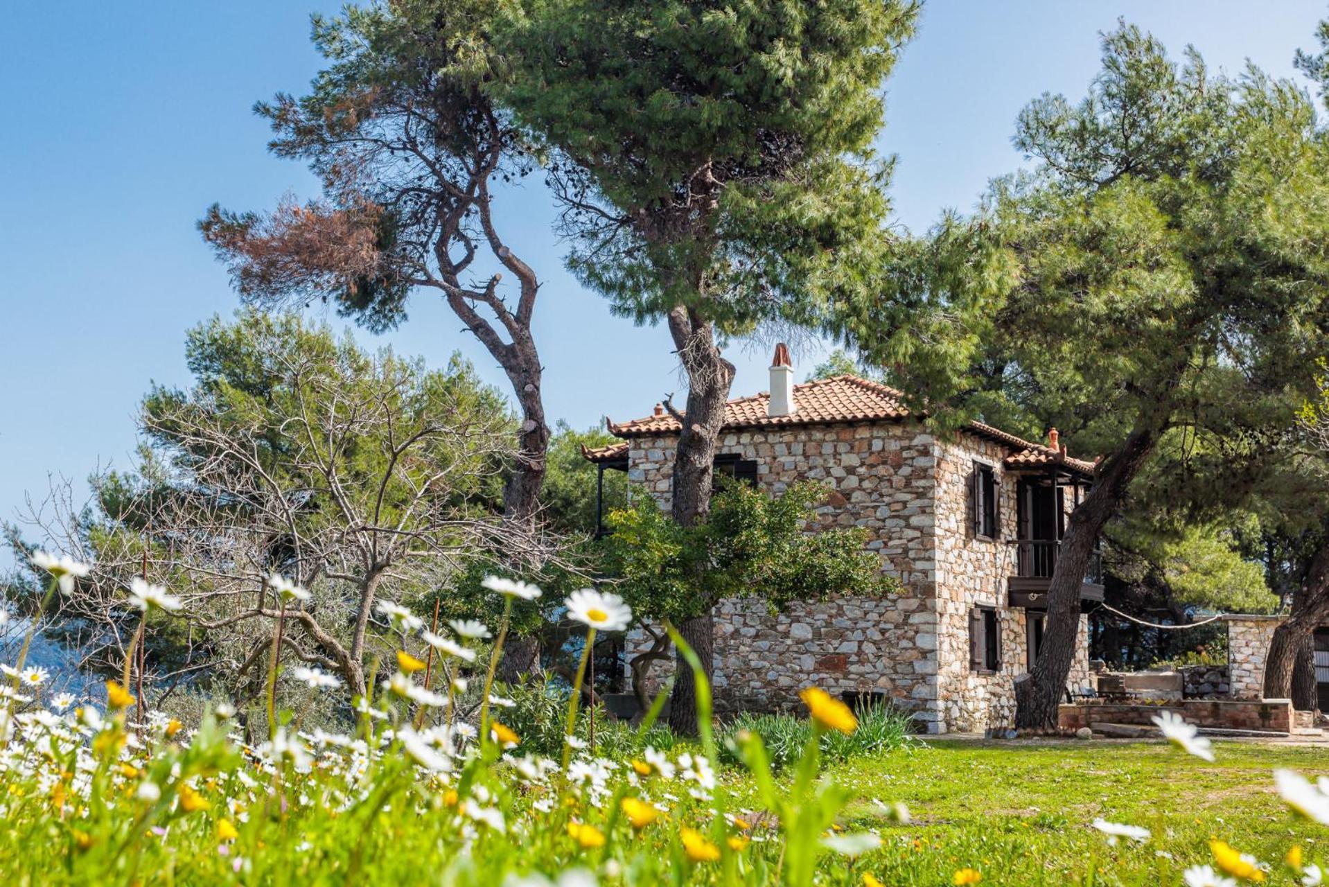 Elli Cottage Città di Skopelos Esterno foto