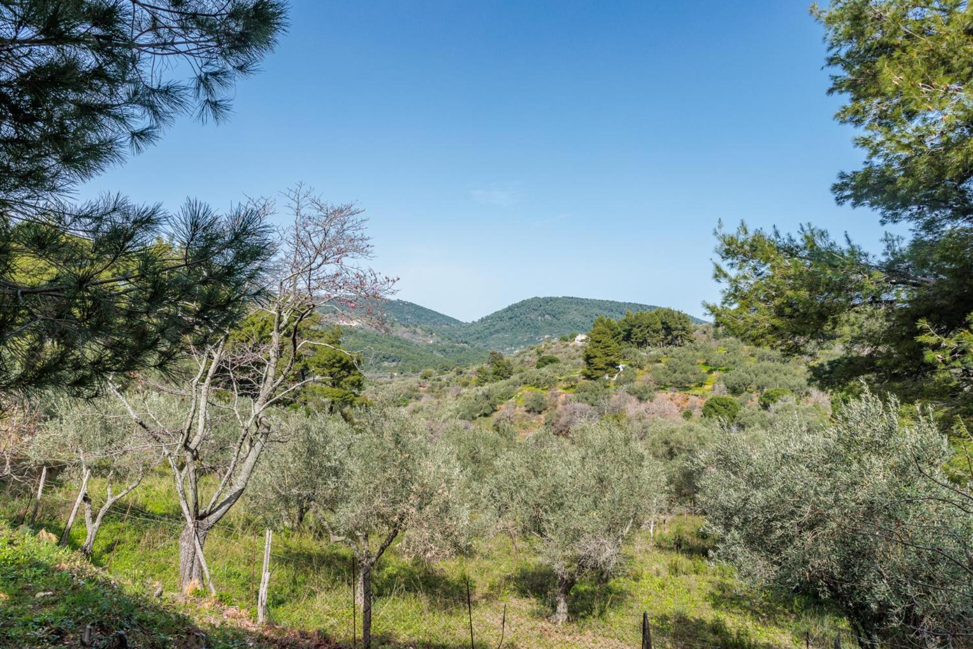 Elli Cottage Città di Skopelos Esterno foto