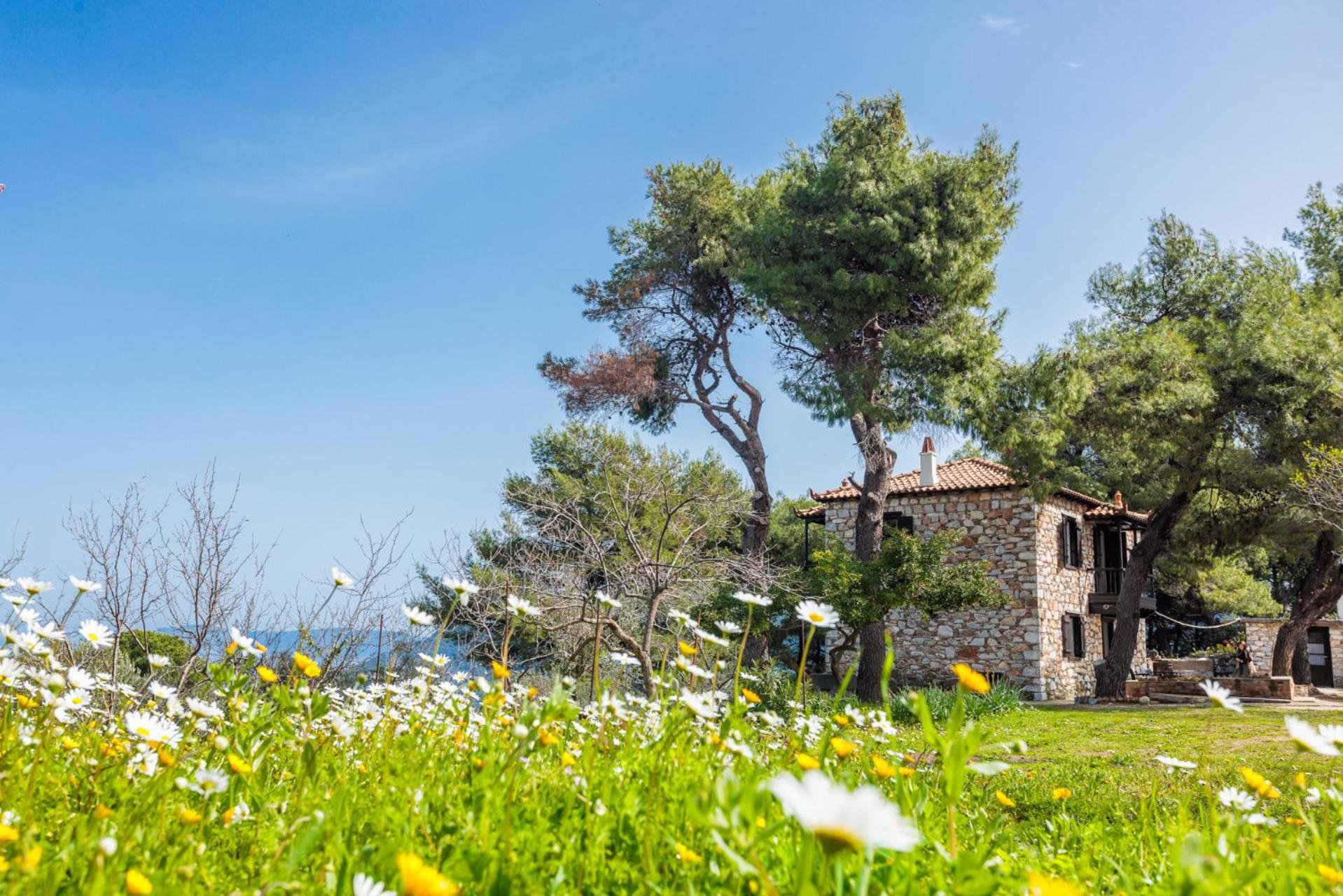 Elli Cottage Città di Skopelos Esterno foto